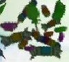 Lotsofcandy.jpg (4 KB) Lotsofcandy