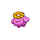 Skiploom Pt variocolor