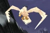 Stormcresteagle