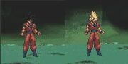 Goku SSW