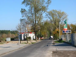 Majora Bila