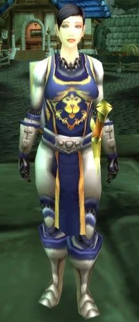 Allerian Defender