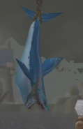 Shark caught