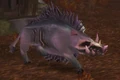 Plagued Swine.jpg