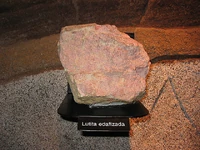 Lutita edafizada