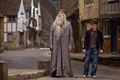 Dumbledore158.JPG