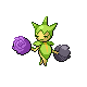 Roselia DP variocolor