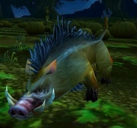 Image of Porcine Entourage