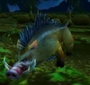 Porcine Entourage