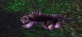 Elder Nightsaber.jpg