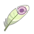 Wind Kwak Feather