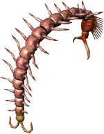 http://images1.wikia.nocookie.net/__cb20081115124825/witcher/images/thumb/4/4c/Bestiary_Centipede_full.png/150px-Bestiary_Centipede_full.png