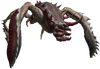Bestiary Kikimore warrior full