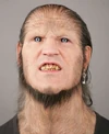 GreybackHBP