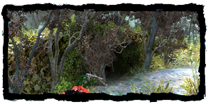 http://images1.wikia.nocookie.net/__cb20081116180409/witcher/images/thumb/3/37/Places_Swamp_cave.png/300px-Places_Swamp_cave.png