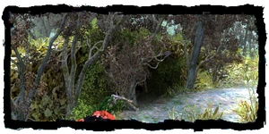 Places Swamp cave