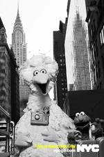 Nycgo-big-bird-elmo