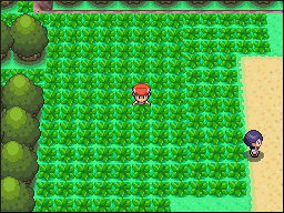 Buscando a un Skitty
