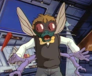 Baxter the Fly