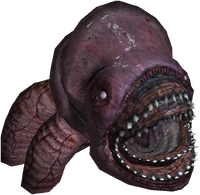 Bestiary Zeugl full