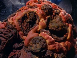 Horta