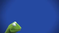 Muppets-com24