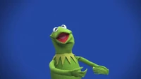 Muppets-com27