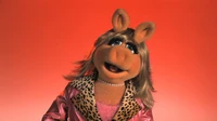 Muppets-com16