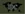 Announcementflag2bz8
