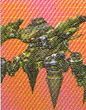 CC7Tarantula