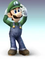 Hidden03Luigi