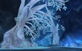 The Singing Grove.jpg