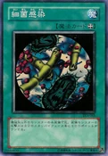 GermInfection-DL4-JP-C