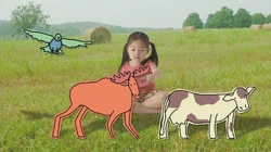 3Animals