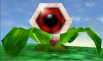Eye
