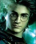 Harry Potter 14yrs