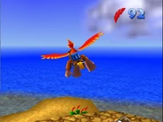 Flight