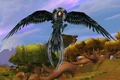 Windroc Matriarch.jpg
