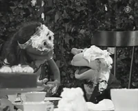 Folge2401-9
