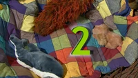 4174Number.jpg