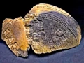 Cerámica excisa Cogotas-I.jpg