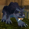 Kurzen War Panther.jpg