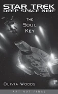 The Soul Key solicitation cover