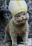 Popecatyg1.png