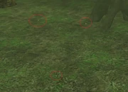 Secret fireflies.jpg