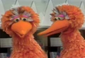 Thumbnail for version as of 00:21, December 31, 2008