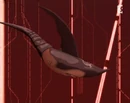 Jawscuesharkmusic