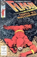 Flash v.2 41