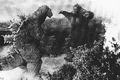 G62-023
