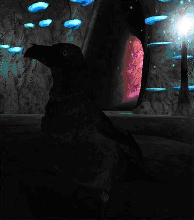 Crow blog